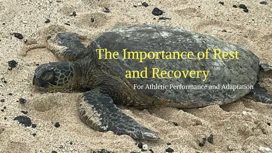 The Importance of Rest and Recovery for Athletic Performance and Adaptation